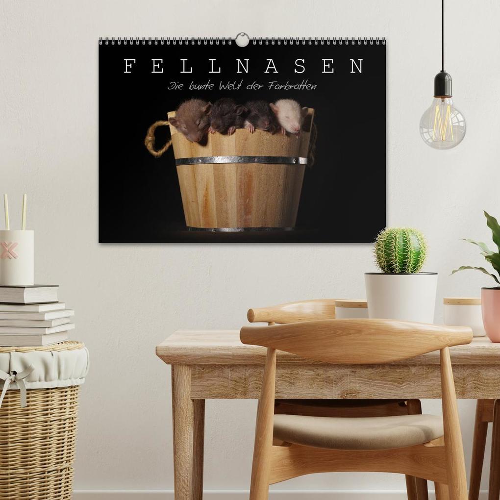 Weitere Ansicht: Fellnasen. Die bunte Welt der Farbratten. (Wandkalender 2026 DIN A3 quer), CALVENDO Monatskalender | Thorsten Nilson, Calvendo