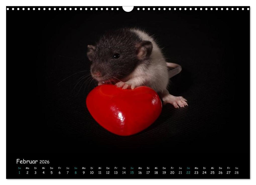 Weitere Ansicht: Fellnasen. Die bunte Welt der Farbratten. (Wandkalender 2026 DIN A3 quer), CALVENDO Monatskalender | Thorsten Nilson, Calvendo