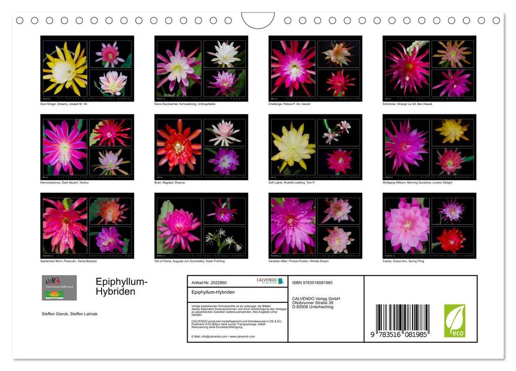 Weitere Ansicht: Epiphyllum-Hybriden (Wandkalender 2026 DIN A4 quer), CALVENDO Monatskalender | Steffen Latniak, Steffen Gierok, Calvendo, Steffen Latniak Gierok