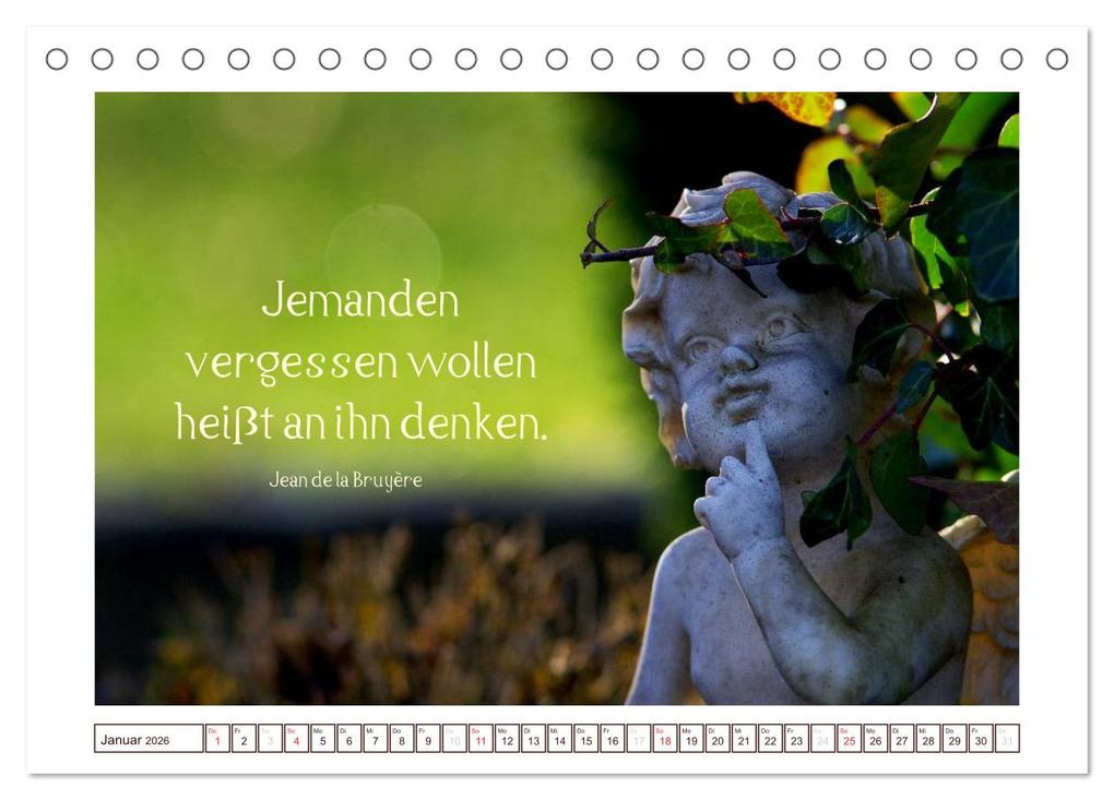 Weitere Ansicht: Engel-Kalender mit Zitaten / CH-Version (Tischkalender 2026 DIN A5 quer), CALVENDO Monatskalender | Tanja Riedel, Calvendo