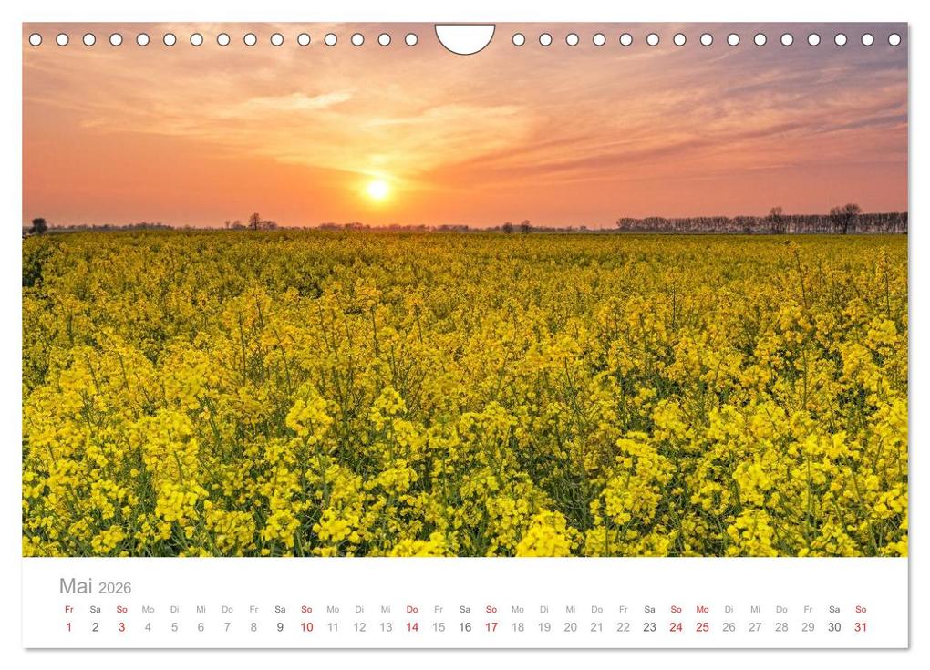 Weitere Ansicht: Lichtreise durch Schleswig-Holstein (Wandkalender 2026 DIN A4 quer), CALVENDO Monatskalender | Nordbilder Nordbilder, Calvendo, Nordbilder