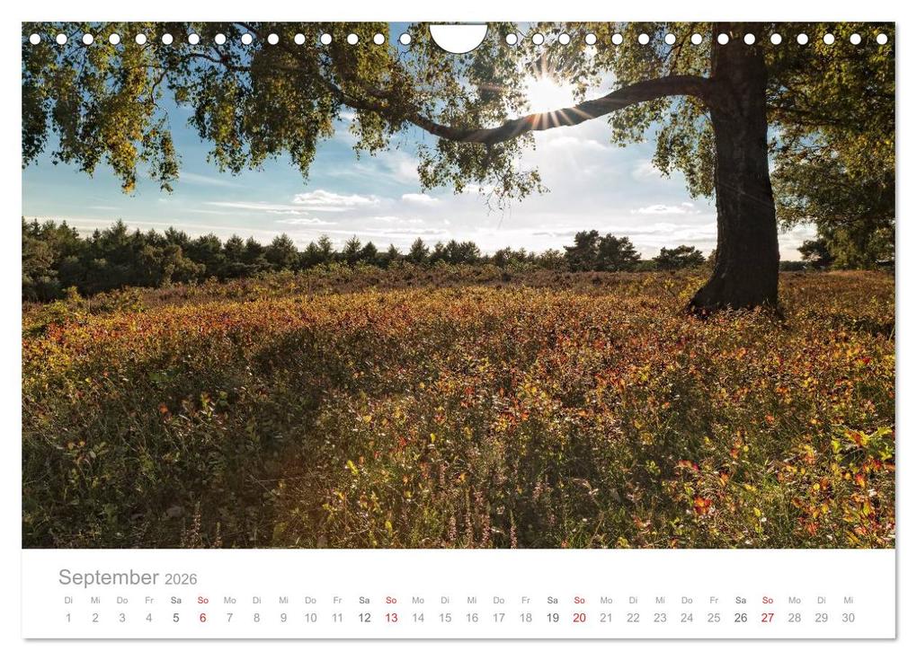 Weitere Ansicht: Lichtreise durch Schleswig-Holstein (Wandkalender 2026 DIN A4 quer), CALVENDO Monatskalender | Nordbilder Nordbilder, Calvendo, Nordbilder