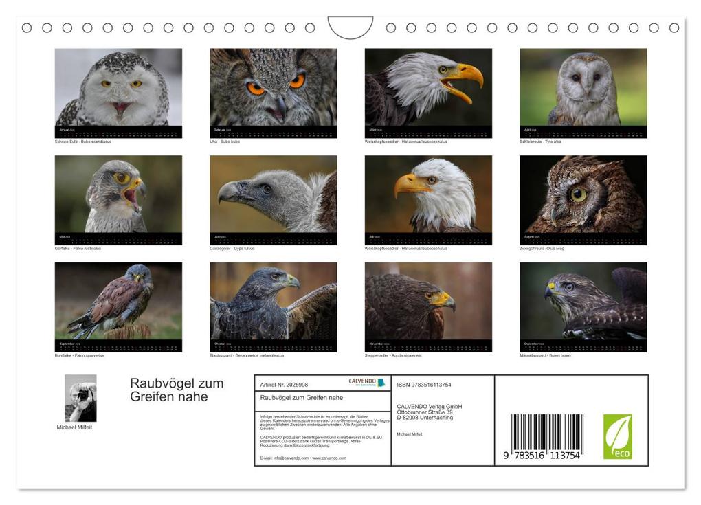 Weitere Ansicht: Raubvögel zum Greifen nahe (Wandkalender 2026 DIN A4 quer), CALVENDO Monatskalender | Michael Milfeit, Calvendo