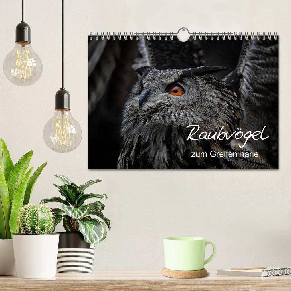 Weitere Ansicht: Raubvögel zum Greifen nahe (Wandkalender 2026 DIN A4 quer), CALVENDO Monatskalender | Michael Milfeit, Calvendo
