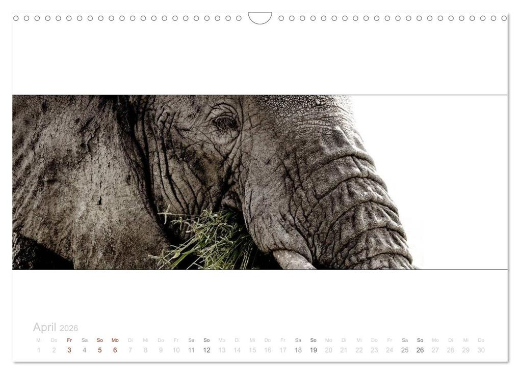 Weitere Ansicht: Serengeti Panorama (Wandkalender 2026 DIN A3 quer), CALVENDO Monatskalender | studio visuell photography, Calvendo