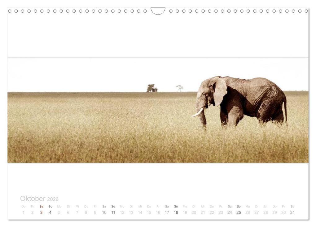 Weitere Ansicht: Serengeti Panorama (Wandkalender 2026 DIN A3 quer), CALVENDO Monatskalender | studio visuell photography, Calvendo