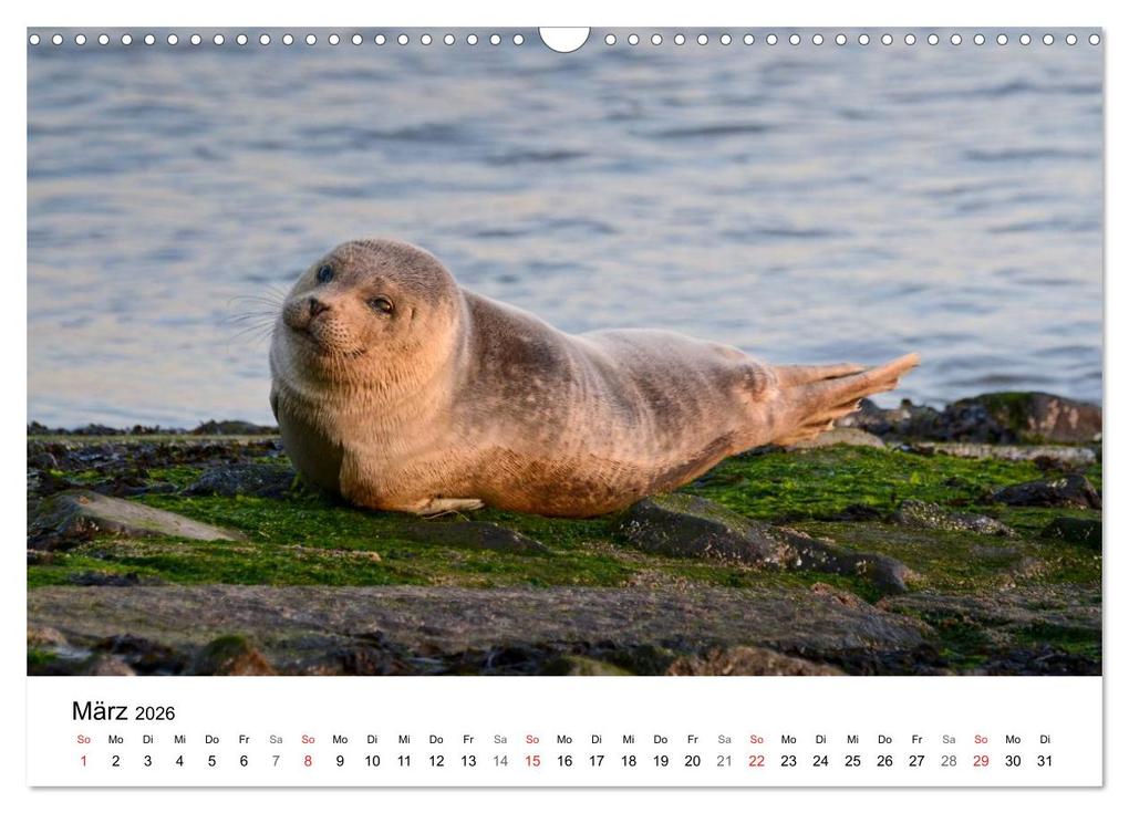 Weitere Ansicht: Maritime Impressionen Wilhelmshaven (Wandkalender 2026 DIN A3 quer), CALVENDO Monatskalender | © www.geniusstrand.de, Calvendo