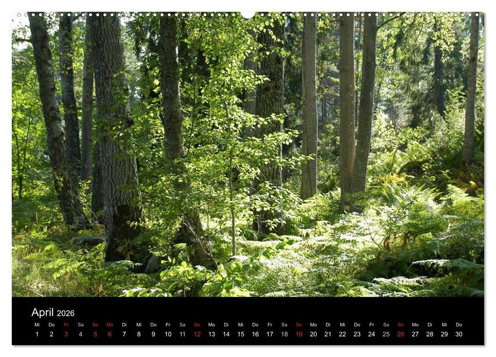 Weitere Ansicht: Sommer in Stockholm 2026 (hochwertiger Premium Wandkalender 2026 DIN A2 quer), Kunstdruck in Hochglanz | Evelyne Berger, Calvendo