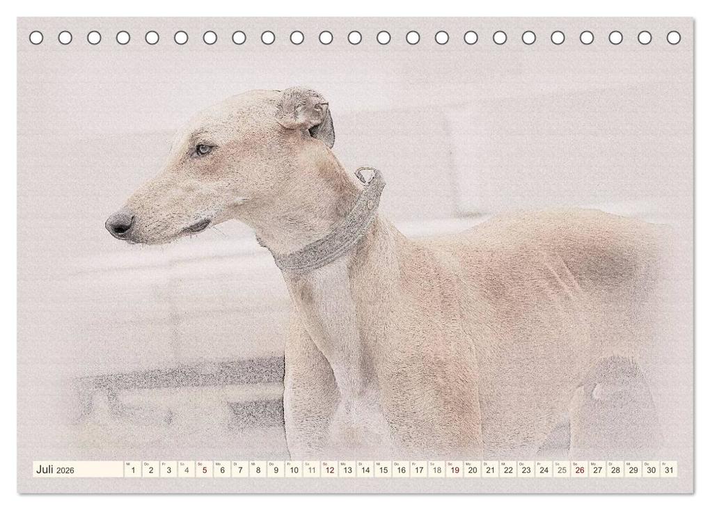 Weitere Ansicht: Windhunde 2026 (Tischkalender 2026 DIN A5 quer), CALVENDO Monatskalender | Andrea Redecker, Calvendo