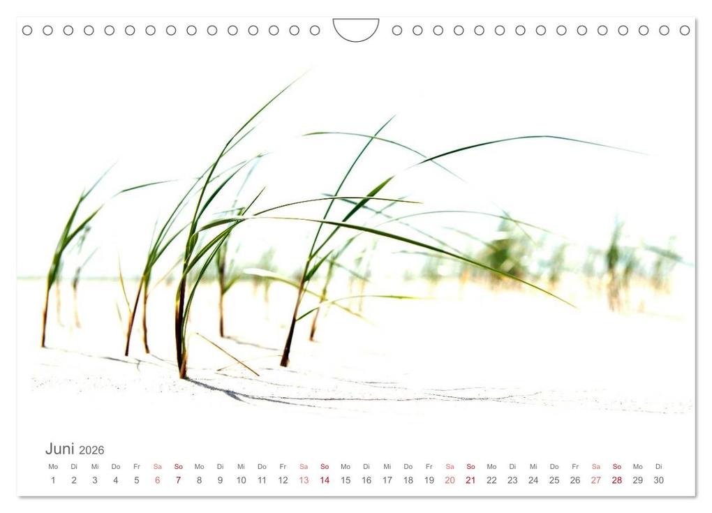 Weitere Ansicht: Das "Nordsee-Gefühl" (Wandkalender 2026 DIN A4 quer), CALVENDO Monatskalender | Ralf Wilken, Calvendo
