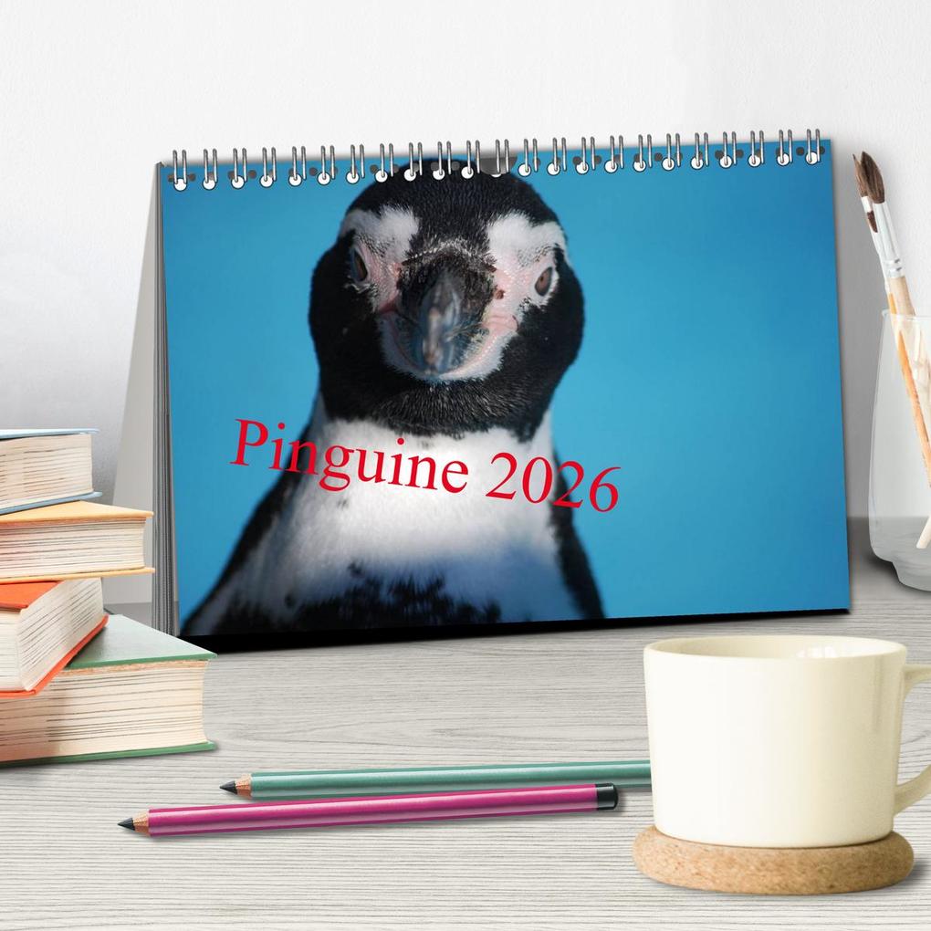 Weitere Ansicht: Pinguine 2026 (Tischkalender 2026 DIN A5 quer), CALVENDO Monatskalender | Calvendo, Ilka Groos
