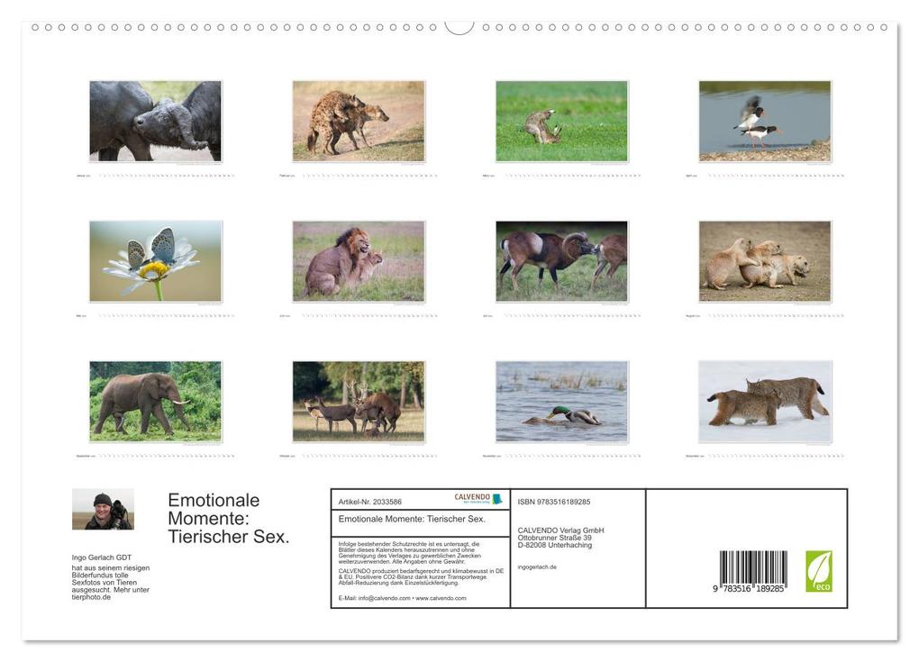 Weitere Ansicht: Emotionale Momente: Tierischer Sex. (hochwertiger Premium Wandkalender 2026 DIN A2 quer), Kunstdruck in Hochglanz | Calvendo, Ingo Gerlach GDT