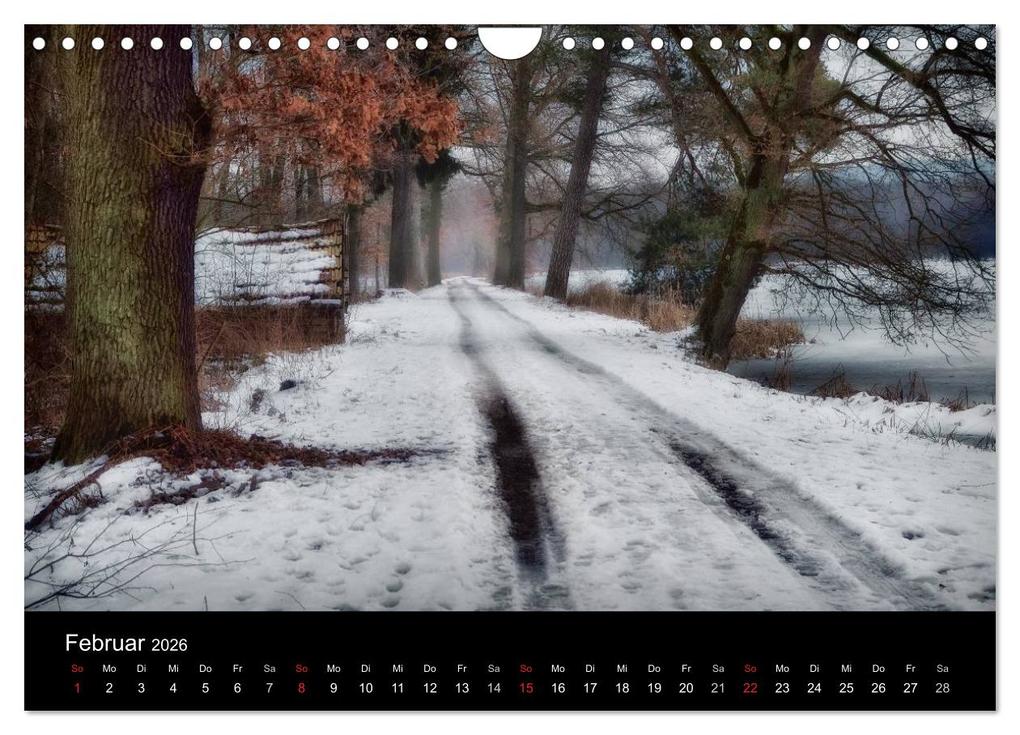Weitere Ansicht: Waldkalender (Wandkalender 2026 DIN A4 quer), CALVENDO Monatskalender | Calvendo, Hans Zitzler
