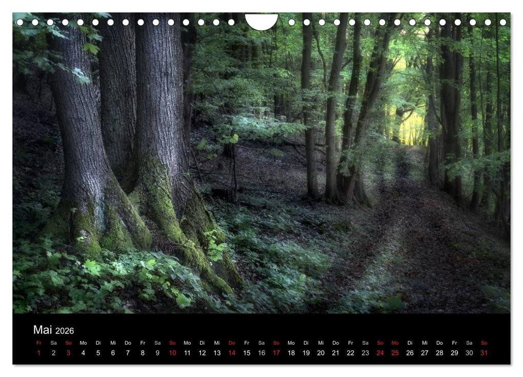 Weitere Ansicht: Waldkalender (Wandkalender 2026 DIN A4 quer), CALVENDO Monatskalender | Calvendo, Hans Zitzler