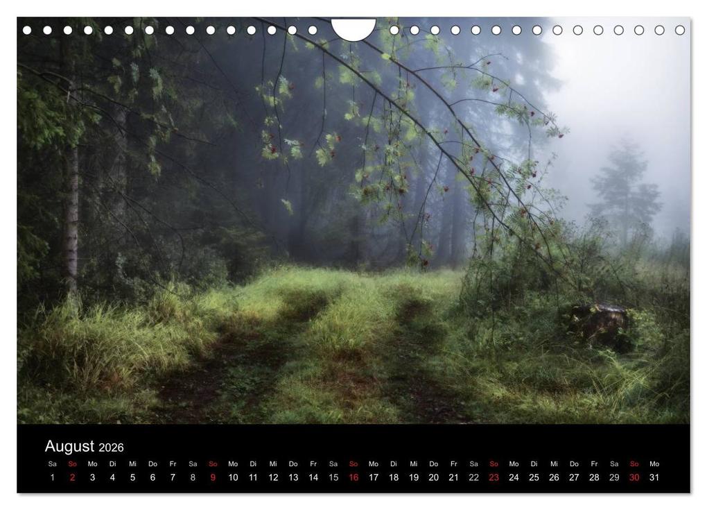 Weitere Ansicht: Waldkalender (Wandkalender 2026 DIN A4 quer), CALVENDO Monatskalender | Calvendo, Hans Zitzler