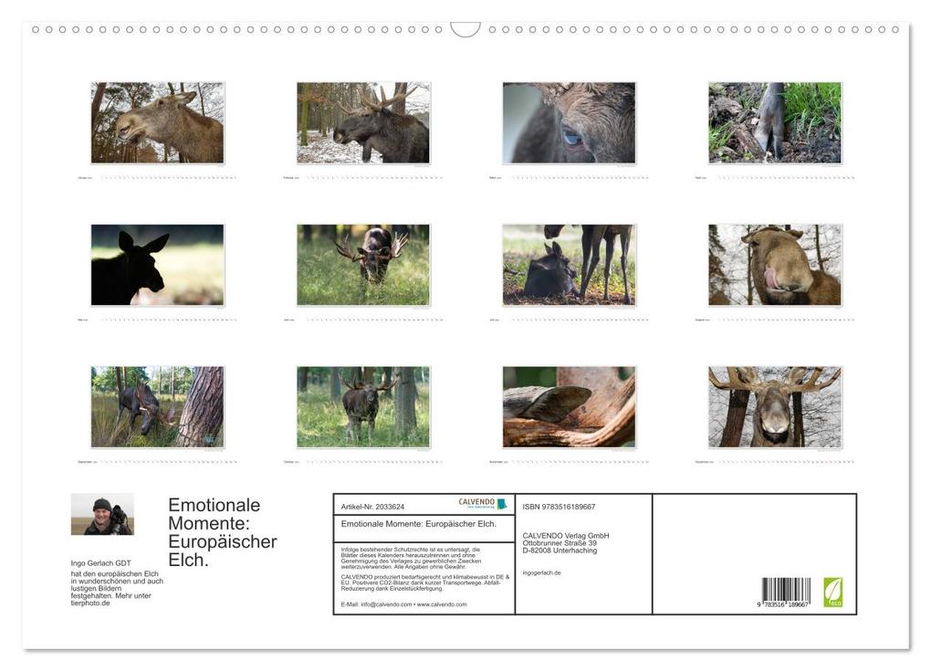 Weitere Ansicht: Emotionale Momente: Europäischer Elch. (Wandkalender 2026 DIN A2 quer), CALVENDO Monatskalender | Calvendo, Ingo Gerlach GDT