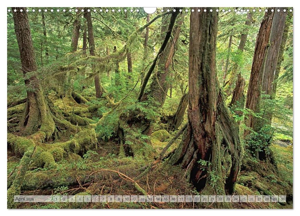 Weitere Ansicht: KANADA Christian Heeb (Wandkalender 2026 DIN A3 quer), CALVENDO Monatskalender | Calvendo, Christian Heeb