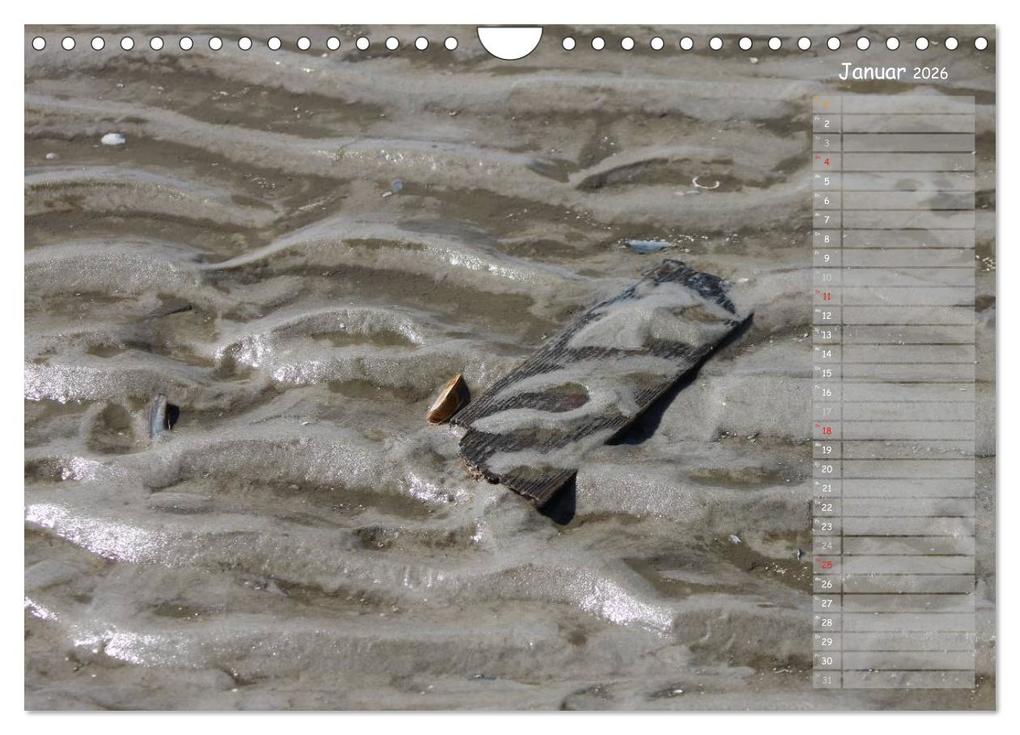 Weitere Ansicht: Strandspaziergang / Geburtstagskalender (Wandkalender 2026 DIN A4 quer), CALVENDO Monatskalender | Calvendo, Gert Kropp