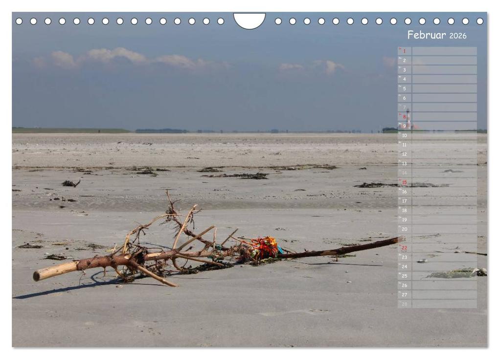 Weitere Ansicht: Strandspaziergang / Geburtstagskalender (Wandkalender 2026 DIN A4 quer), CALVENDO Monatskalender | Calvendo, Gert Kropp