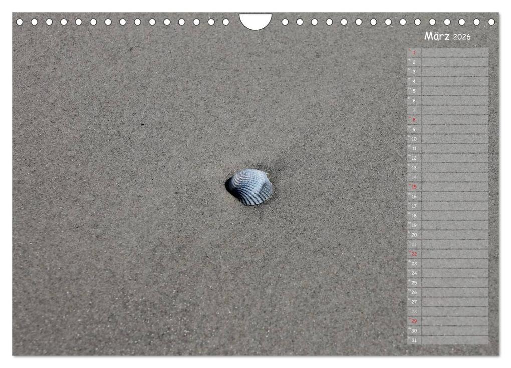 Weitere Ansicht: Strandspaziergang / Geburtstagskalender (Wandkalender 2026 DIN A4 quer), CALVENDO Monatskalender | Calvendo, Gert Kropp