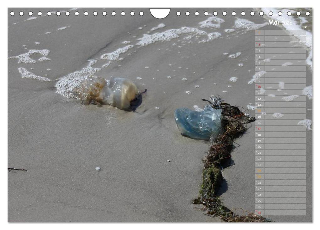 Weitere Ansicht: Strandspaziergang / Geburtstagskalender (Wandkalender 2026 DIN A4 quer), CALVENDO Monatskalender | Calvendo, Gert Kropp