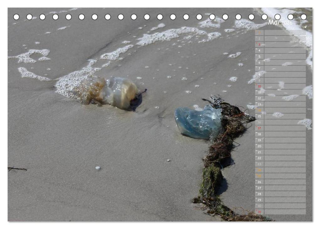 Weitere Ansicht: Strandspaziergang / Geburtstagskalender (Tischkalender 2026 DIN A5 quer), CALVENDO Monatskalender | Calvendo, Gert Kropp