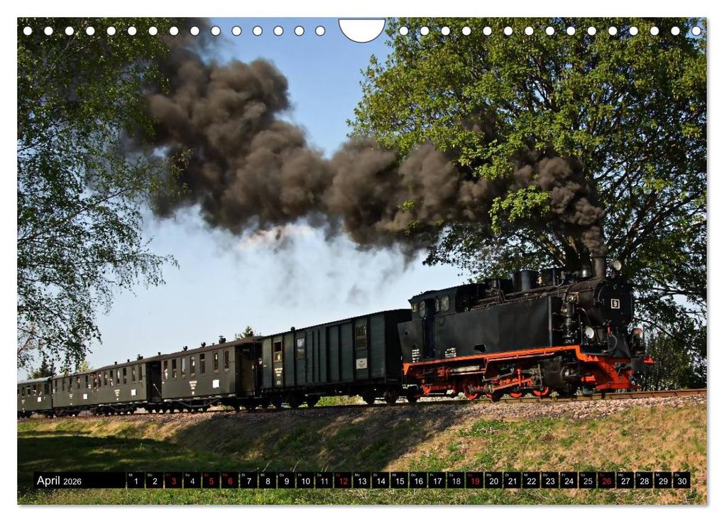 Weitere Ansicht: Schmalspurbahnen in Sachsen Anhalt (Wandkalender 2026 DIN A4 quer), CALVENDO Monatskalender | Steffen Gierok, Calvendo