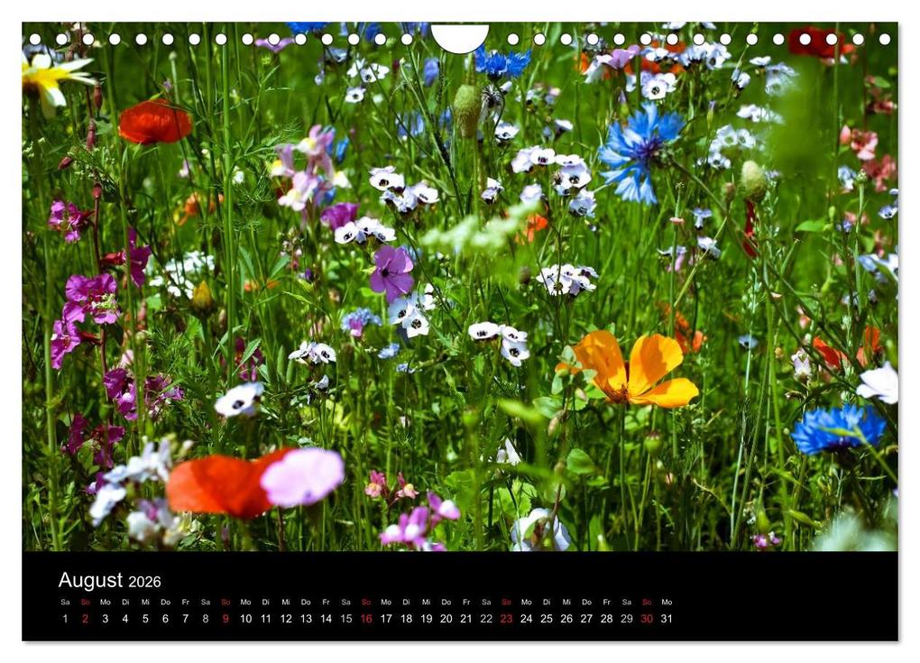 Weitere Ansicht: Winterberg - Sauerland - Eine Landschaft in Bildern (Wandkalender 2026 DIN A4 quer), CALVENDO Monatskalender | Dora Pi, Calvendo