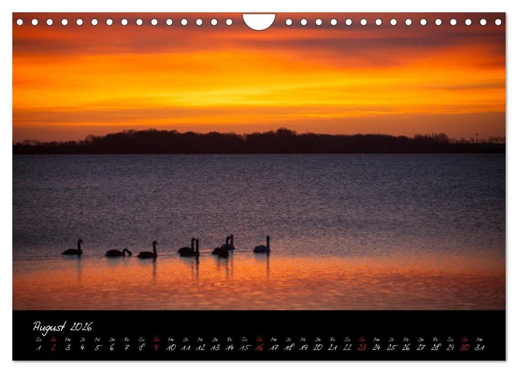 Weitere Ansicht: Rügen-Impressionen (Wandkalender 2026 DIN A4 quer), CALVENDO Monatskalender | Ralf Kaiser, Calvendo