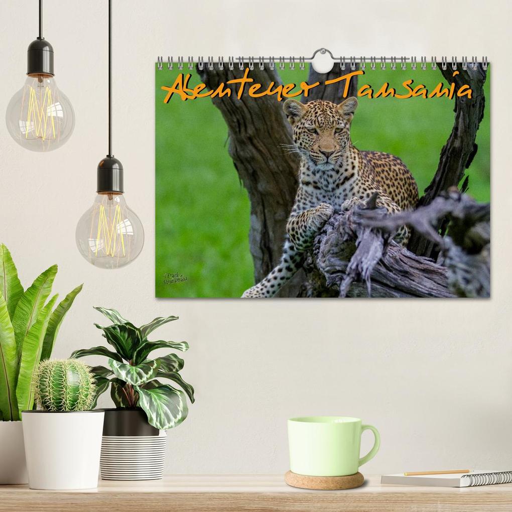 Weitere Ansicht: Abenteuer Tansania, Afrika (Wandkalender 2026 DIN A4 quer), CALVENDO Monatskalender | Frank Struckmann, Calvendo