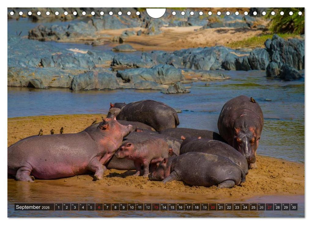 Weitere Ansicht: Abenteuer Tansania, Afrika (Wandkalender 2026 DIN A4 quer), CALVENDO Monatskalender | Frank Struckmann, Calvendo