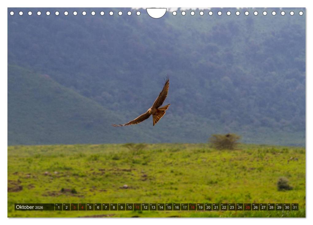 Weitere Ansicht: Abenteuer Tansania, Afrika (Wandkalender 2026 DIN A4 quer), CALVENDO Monatskalender | Frank Struckmann, Calvendo