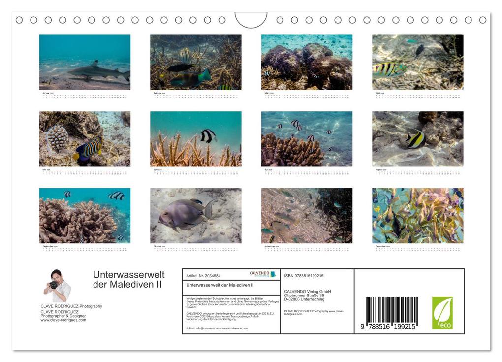 Weitere Ansicht: Unterwasserwelt der Malediven II (Wandkalender 2026 DIN A4 quer), CALVENDO Monatskalender | CLAVE RODRIGUEZ Photography, Calvendo