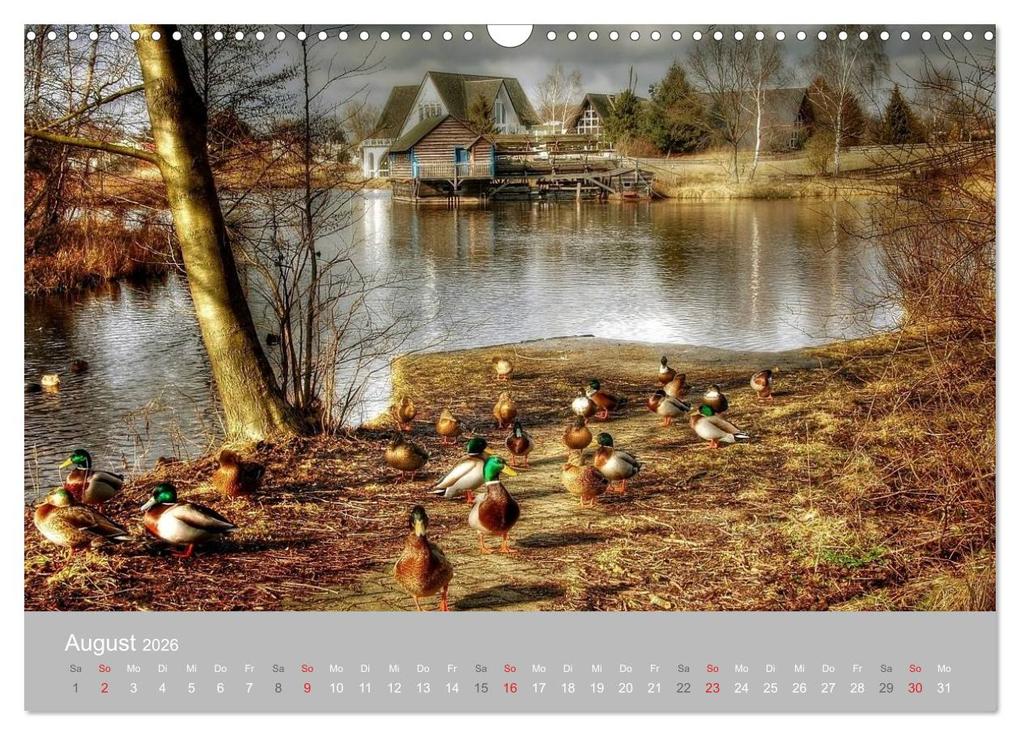 Weitere Ansicht: Mühlenmuseum Gifhorn (Wandkalender 2026 DIN A3 quer), CALVENDO Monatskalender | Kordula - Uwe Vahle, Calvendo, Kordula Vahle