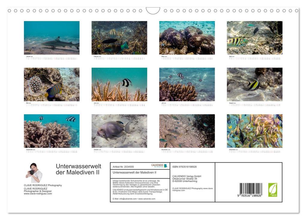 Weitere Ansicht: Unterwasserwelt der Malediven II (Wandkalender 2026 DIN A3 quer), CALVENDO Monatskalender | CLAVE RODRIGUEZ Photography, Calvendo