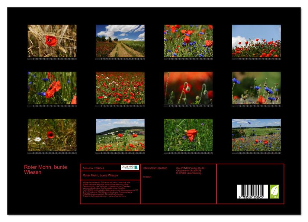 Weitere Ansicht: Roter Mohn, bunte Wiesen (Wandkalender 2026 DIN A3 quer), CALVENDO Monatskalender | Nordstern Nordstern, Calvendo, Nordstern