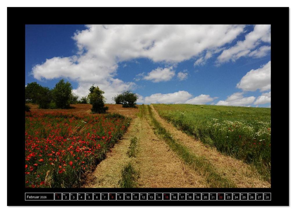 Weitere Ansicht: Roter Mohn, bunte Wiesen (Wandkalender 2026 DIN A3 quer), CALVENDO Monatskalender | Nordstern Nordstern, Calvendo, Nordstern