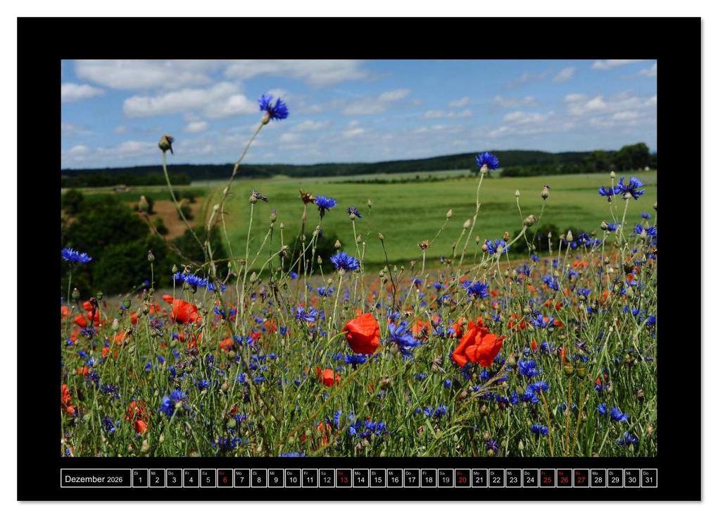 Weitere Ansicht: Roter Mohn, bunte Wiesen (Wandkalender 2026 DIN A3 quer), CALVENDO Monatskalender | Nordstern Nordstern, Calvendo, Nordstern