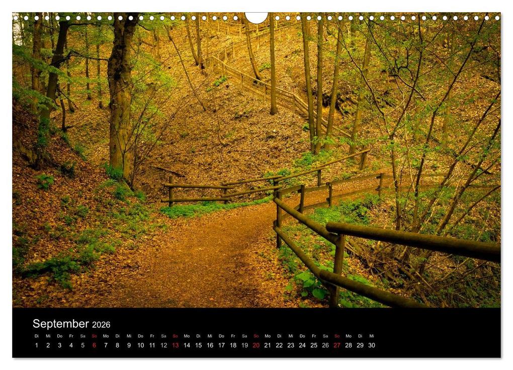 Weitere Ansicht: Winterberg - Sauerland - Eine Landschaft in Bildern (Wandkalender 2026 DIN A3 quer), CALVENDO Monatskalender | Dora Pi, Calvendo