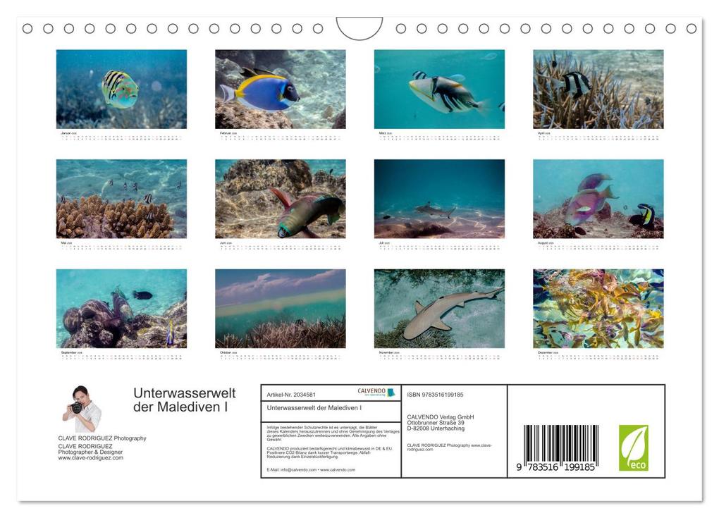 Weitere Ansicht: Unterwasserwelt der Malediven I (Wandkalender 2026 DIN A4 quer), CALVENDO Monatskalender | CLAVE RODRIGUEZ Photography, Calvendo