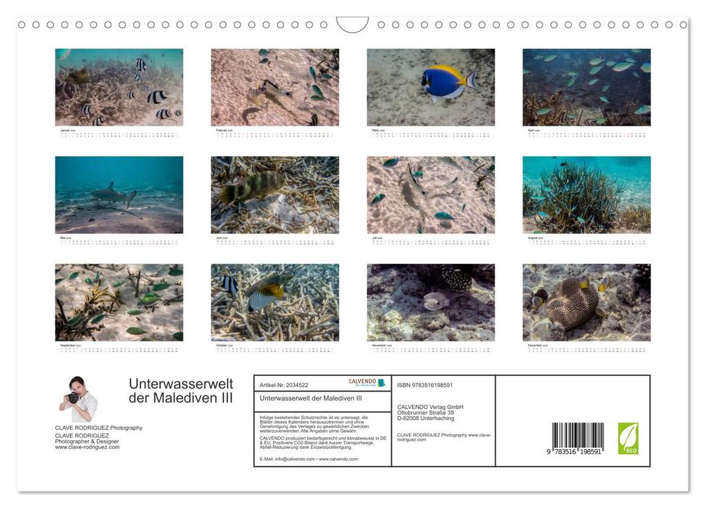 Weitere Ansicht: Unterwasserwelt der Malediven III (Wandkalender 2026 DIN A3 quer), CALVENDO Monatskalender | CLAVE RODRIGUEZ Photography, Calvendo
