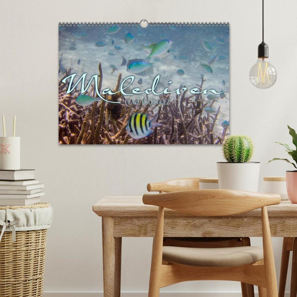 Weitere Ansicht: Unterwasserwelt der Malediven III (Wandkalender 2026 DIN A3 quer), CALVENDO Monatskalender | CLAVE RODRIGUEZ Photography, Calvendo