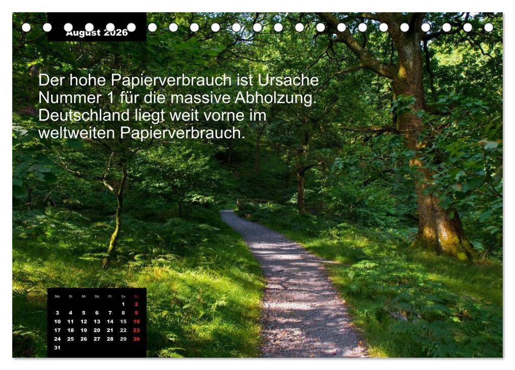 Weitere Ansicht: Schlaumeier-Kalender - Thema: Wald (Tischkalender 2026 DIN A5 quer), CALVENDO Monatskalender | René Wersand, Calvendo