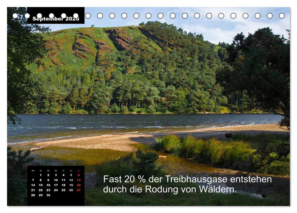 Weitere Ansicht: Schlaumeier-Kalender - Thema: Wald (Tischkalender 2026 DIN A5 quer), CALVENDO Monatskalender | René Wersand, Calvendo