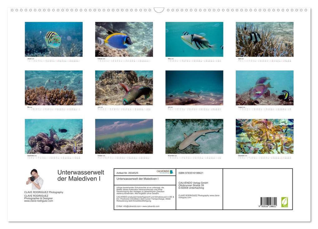 Weitere Ansicht: Unterwasserwelt der Malediven I (Wandkalender 2026 DIN A2 quer), CALVENDO Monatskalender | CLAVE RODRIGUEZ Photography, Calvendo