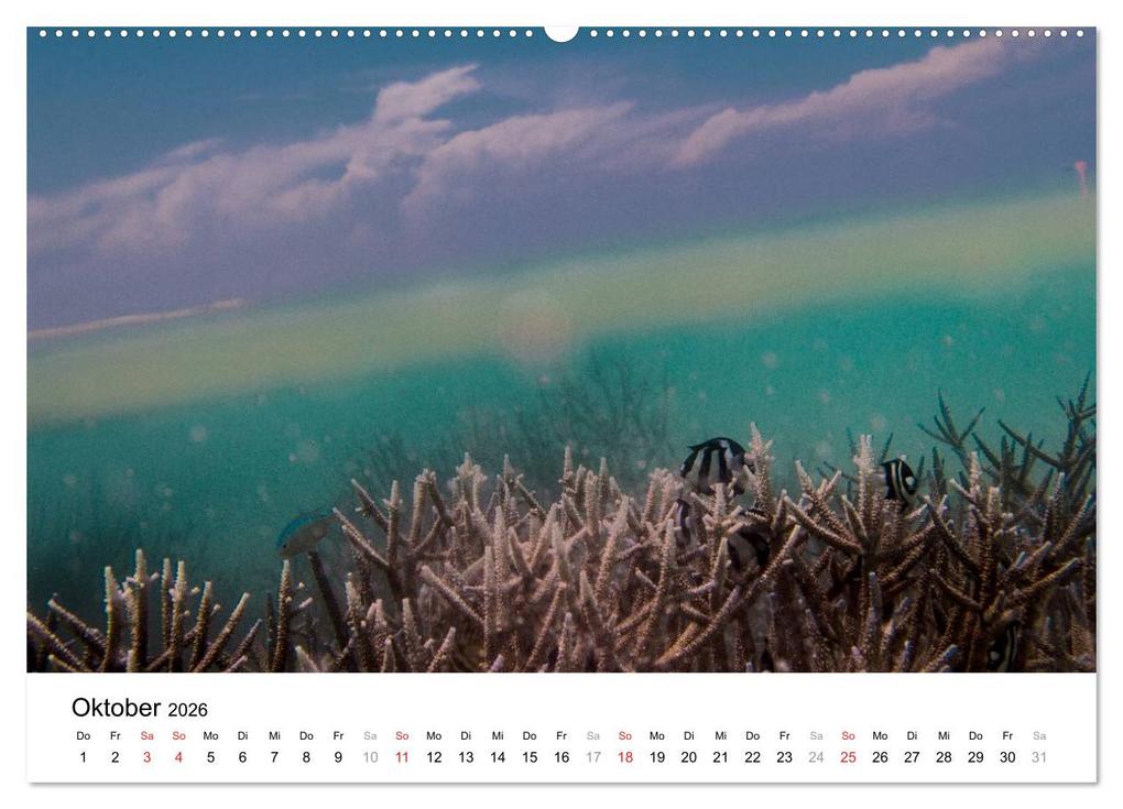 Weitere Ansicht: Unterwasserwelt der Malediven I (Wandkalender 2026 DIN A2 quer), CALVENDO Monatskalender | CLAVE RODRIGUEZ Photography, Calvendo