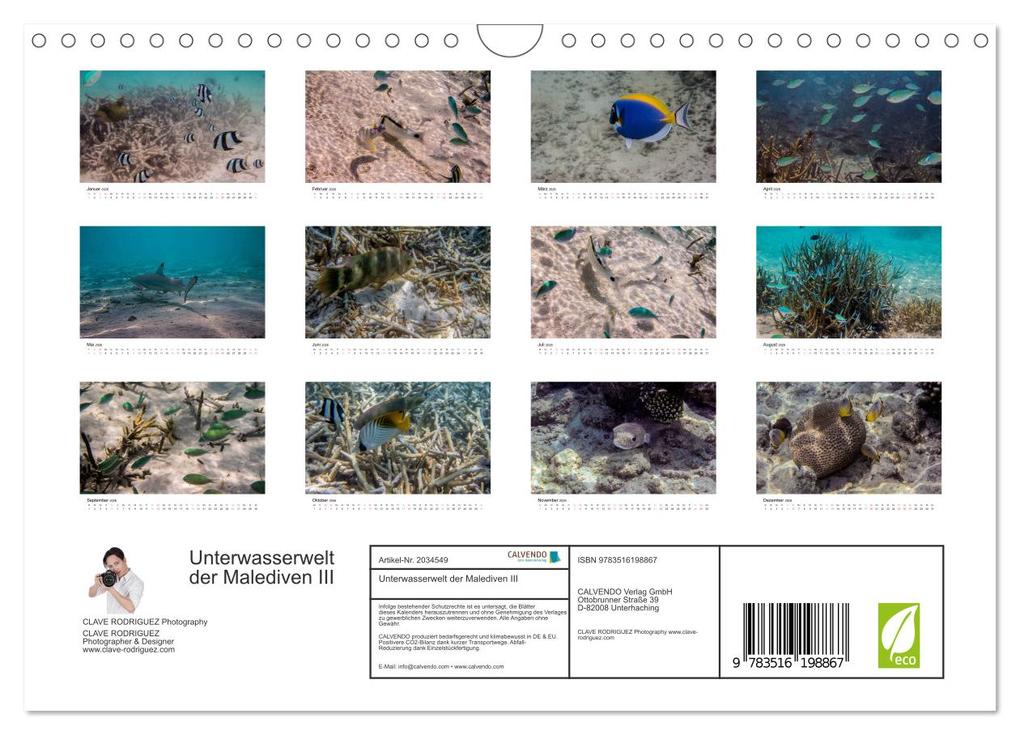Weitere Ansicht: Unterwasserwelt der Malediven III (Wandkalender 2026 DIN A4 quer), CALVENDO Monatskalender | CLAVE RODRIGUEZ Photography, Calvendo