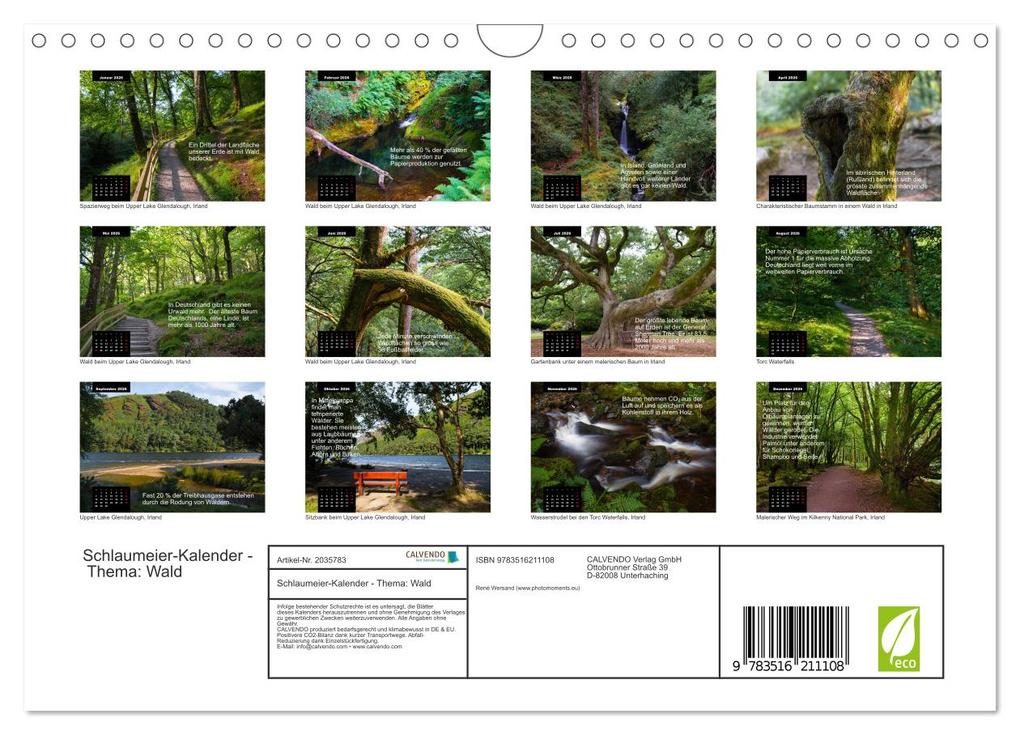 Weitere Ansicht: Schlaumeier-Kalender - Thema: Wald (Wandkalender 2026 DIN A4 quer), CALVENDO Monatskalender | René Wersand, Calvendo