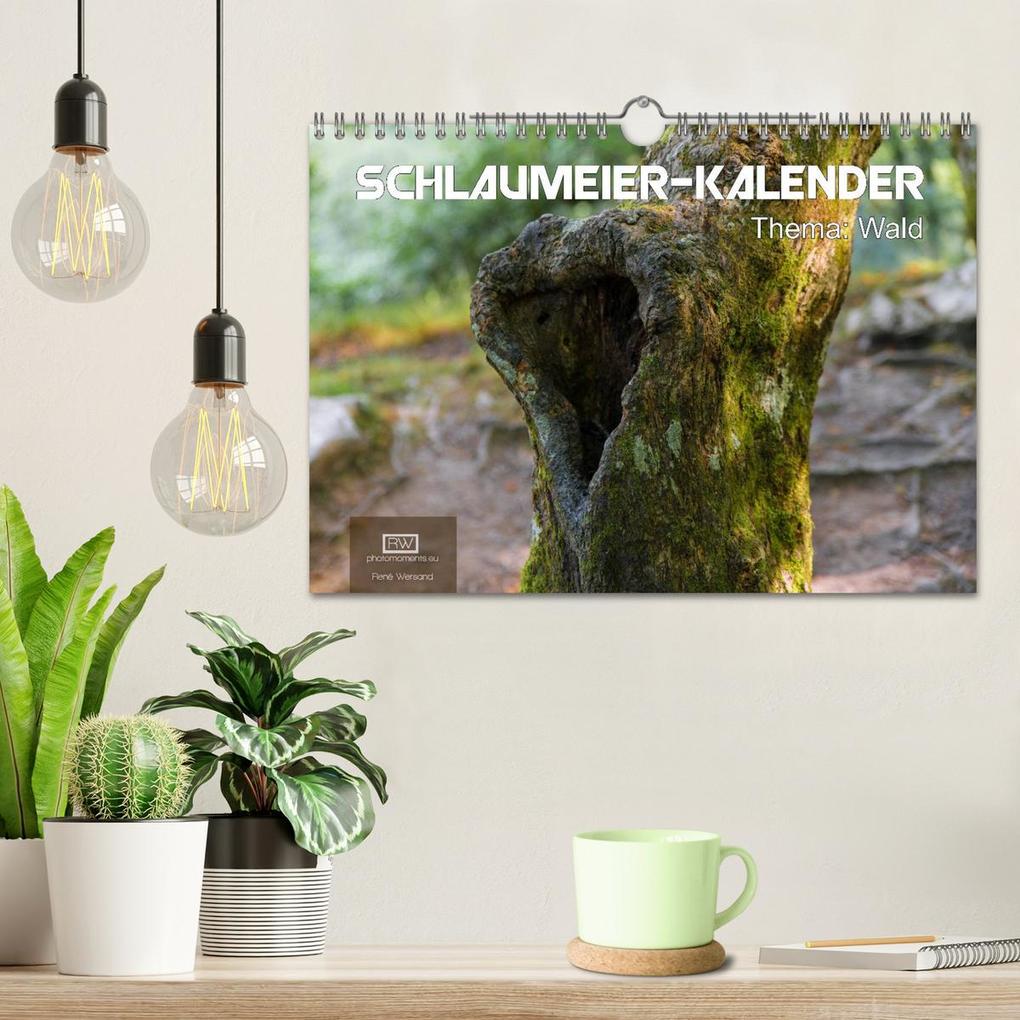 Weitere Ansicht: Schlaumeier-Kalender - Thema: Wald (Wandkalender 2026 DIN A4 quer), CALVENDO Monatskalender | René Wersand, Calvendo