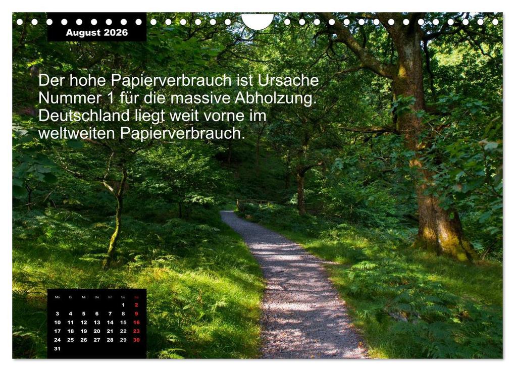 Weitere Ansicht: Schlaumeier-Kalender - Thema: Wald (Wandkalender 2026 DIN A4 quer), CALVENDO Monatskalender | René Wersand, Calvendo